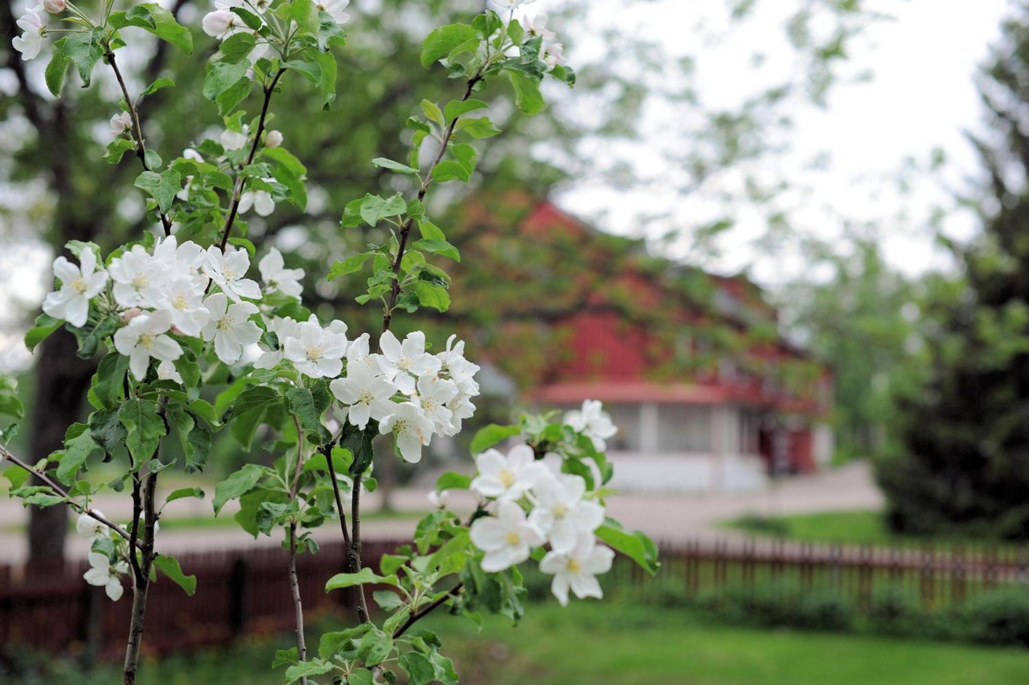 Krapi Tuusula